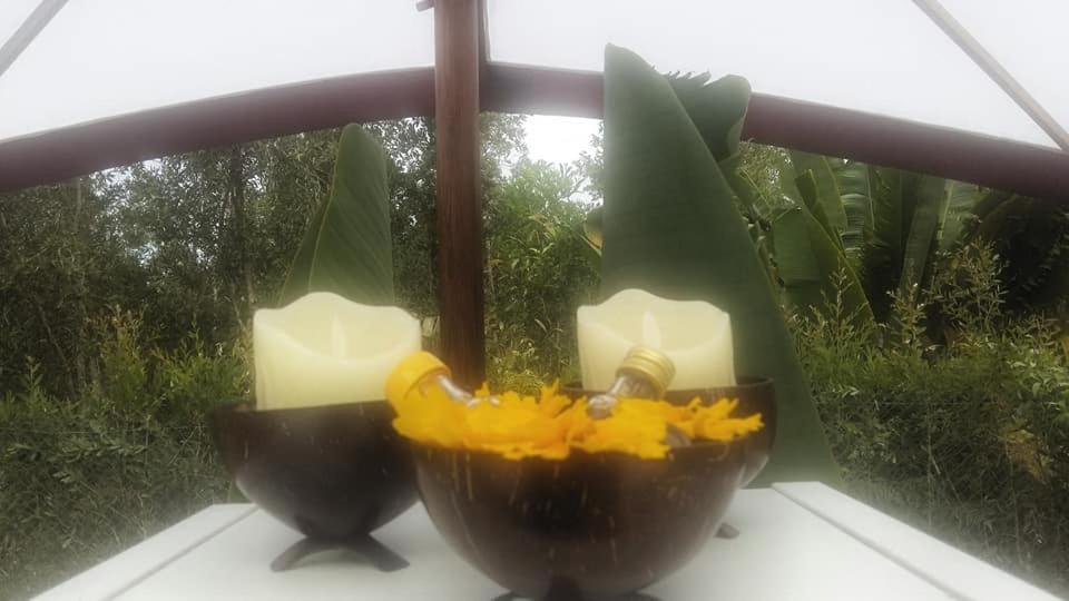 The Sanctuary Lodge Foulpointe المظهر الخارجي الصورة